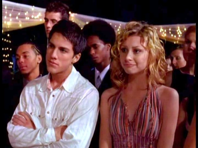 Cow Belles Fotoğrafı